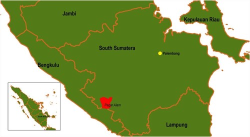 Figure 1. Research location in Pagar Alam District, South Sumatra. Source: Global Administrative Areas database (GADM), version 3.6.