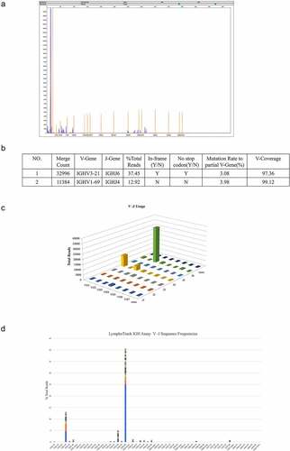 Figure 3. The FR1 sequencing results (sample). a: First-generation sequencing clonality assessment shows the absence of clonal rearrangement by FR1 sets. b–d: The major clone-utilizing IGHV3-21 and IGHJ6 sequences merge count is 32,996 and represents 37.45% of the total sequences, whereas the minor clone utilizing IGHV1-69 and IGHJ4 merge count is 11,384 and represents 12.92% of the total sequences. Both rearrangements show a similar mutation rate (3.08% and 3.98%) relative to the reference V-gene sequence.