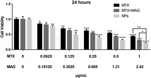 Figure 8. Toxicity of free MTX, free MTX with MAG and MAG@PsCM nanoparticles to MDA-MB-231 cells. * P <0.05 and * * P <0.01 indicate significant differences, and * * * P <0.001 and * * * * P <0.0001 indicate highly significant differences.