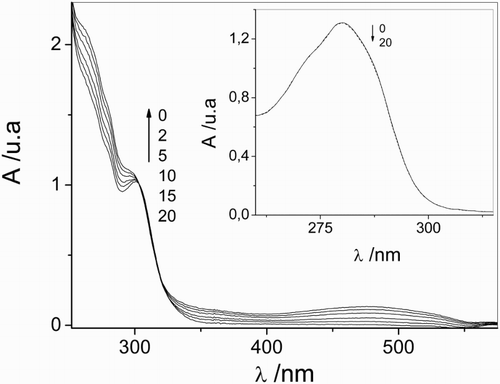 Figure 3 Spectral evolution of 0.1 mM vancomycin upon sensitized photoirradiation with visible light in aqueous solution in the presence of Rose Bengal (A549  nm = 0.5) of vancomycin/Rose Bengal vs. Rose Bengal at pH 11. Inset: Spectral evolution of 0.1 mM vancomycin upon sensitized photoirradiation with visible light in aqueous solution in the presence of Rose Bengal (A549  nm = 0.5) of vancomycin/Rose Bengal vs. Rose Bengal at pH 7.4. The numbers on the spectra represent irradiation time in minuite.