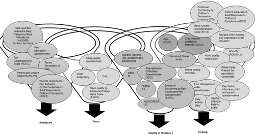 Figure 2 Identified assessment instruments.