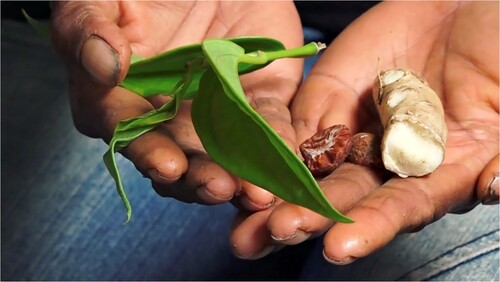 Figure 4. Betel leaf, areca nut and turmeric. Still from Holding Tightly.