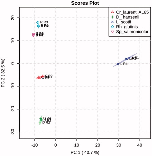 Figure 3. PCA score plots (at 95% confidence level of 20 spectra peak tables).