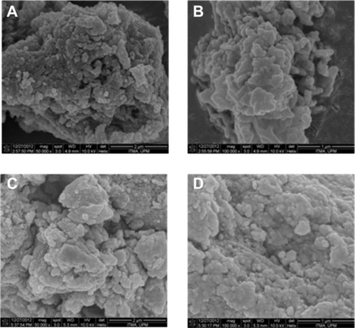 Figure 5 Field-emission scanning electron micrographs of PASA-D (A and B) and PASA-I (C and D) nanocomposites at 50,000× and 100,000× magnifications.