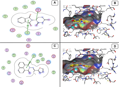 Figure 12 Docking model (A) 2D of THD fits into the ATP-binding site of Akt Kinase; (B) 3D of THD fits into the ATP-binding site of Akt Kinase; (C) 2D of TA fits into the ATP-binding site of Akt Kinase; (D) 3D of TA fits into the ATP-binding site of Akt Kinase.