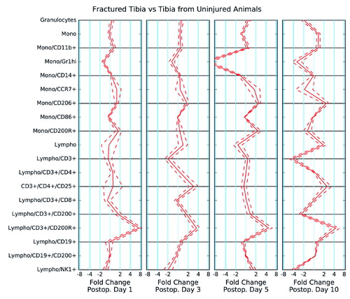 Figure 5. Cell populations in the injured tibia on different days after surgery compared to metaphyseal tibia in uninjured animals. A fold change of 2 indicates a doubling of the respective cell type compared to the tibia of uninjured animals. The gating relationships are indicated by slashes in the names on the y-axis. The straight line marks the mean fold change of observations from 6 mice, and the dashed lines mark the 95% confidence interval.