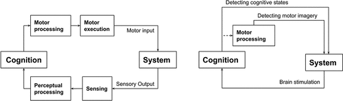 Figure 1. A vastly simplified model of interaction based on an understanding of cognition and motor execution as a staged process (after Card et al., Citation1983). In comparison to motor input (left), BCIs (right) allow bypassing body movements. Note that directness can come in different degrees (e.g., directly accessing thoughts or sensing motor imagery).
