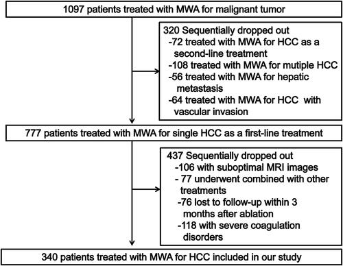 Figure 1. Flow diagram of patients identified, included, and excluded. MWA: microwave ablation; HCC: hepatocellular carcinoma.