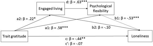 Figure 3. The association between trait gratitude and loneliness, mediated by psychological flexibility and engaged living.