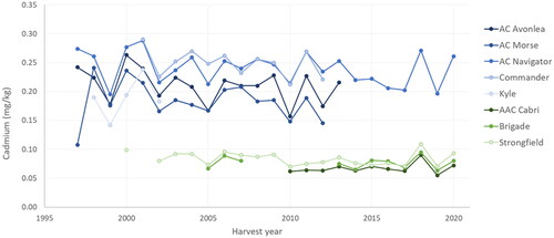 Figure 3. Cadmium concentrations in Canada Western Amber Durum used as check cultivars in Co-operative Registration Trials. Cultivars represented by shades of green were registered in 2004 and later, and are low cadmium accumulators. Cultivars represented by shades of blue were registered from 1984 to 2004, and are high cadmium accumulators.