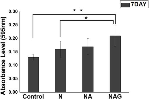 Figure 9 Results of a one-way ANOVA test for cells cultured for 7 days on titanium samples in the control group and groups N, NA, and NAG and measured with an ALP assay. *Marginally significant at p < 0.05, **Marginally significant at p < 0.001.