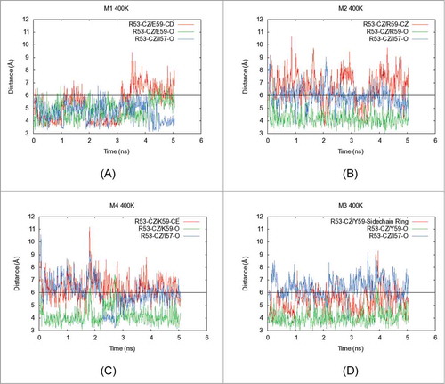 Figure 5. Five nanoseconds-long molecular dynamics (MD) simulations were performed on the Fv portions of (A) M1, (B) M2, (C) M4 and (D) M3 at elevated temperatures (400 K). In each plot, X-axis shows the simulation time (ns) and Y-axis indicates distances (Å) between specific atoms of interacting residues in the structural context for position 59 in the light chain of MAB 1. The side chain and backbone distances are shown for interactions formed by the residue at position 59 and I57 with the side chain functional group of R53. The red line shows the distance between central atom in side chain of residue at position 59 and the Cξ atom in the side chain of R53. The green line indicates the distance of the backbone carbonyl atom of the residue at position 59 with the Cξ atom in the side chain of R53. Similarly, the blue line indicates the distance of the backbone carbonyl atom of I57 from the Cξ atom in the side chain of R53. When the distance between carbon atoms is below 6 Å, an interaction is considered to be formed (black horizontal line). This figure shows that side chain guanidium group of R53 engages in promiscuous salt bridging interactions with the back bone carbonyl of I57, and the backbone carbonyl as well as side chain carboxylate of E59 in the parent mAb, M1. Upon charge reversal at position 59 (M2 and M4 variants), the electrostatic repulsions between the side chains of the residue at position 59 and R53 weaken this electrostatic network leading to destabilization of the Fab as evidenced by decreased Tm2 values for M2 and M4. However, the charge neutralization variant, M3, restores the network among these 3 residues by forming tyrosine ring π interactions with the guanidium group of R53. Analogous simulations were also performed at 300 K. These are shown in the supplementary material (Fig. S2A–S2D).