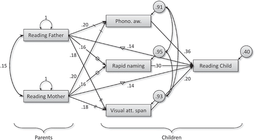 FIGURE 3 Final structural equation model with standardized parameter estimates. Note. Arrows intersected by equal shapes are constrained to be equal. All path estimates have p values < .001; the parents’ reading correlation has p = .019. Correlations between unexplained variances in cognitive skills are omitted from the figure; values are: PA-RAN .33, PA-VAS .38, RAN-VAS .26. The model fit is χ2(4) = 3.25, p = .52; RMSEA < .001; N = 373 families (939 individuals). Reading = word-level reading fluency; PA = phonological awareness; RAN = rapid naming; VAS = visual attention span.