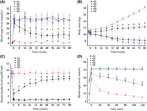 Figure 3. Physiological indices before and after transplantation (compared with those of groups G2–G5, *P < 0.05). (A) Changes of blood sugar level; (B) changes of body mass; (C) changes of serum insulin level; (D) IGTT results.