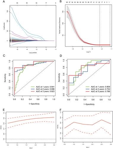 Figure 4. Generation of a gene expression signature to predict patient survival. (A) The 10-fold cross-validation for variable selection in the LASSO model. (B) The LASSO coefficient profile. (C) ROC curves to evaluate the predictive ability of the risk model in the train cohort. (D) ROC curves to examine the robustness of the risk model in the test cohort. (E) AUC change curves of the train cohort in 3 years. (F) AUC change curves of the test cohort in 3 years.