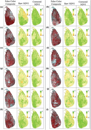 Figure 8. Spatial distribution of MODIS FCC, raw NDVI and corrected NDVI (based on TBC 3) of different composites of different months: (a) 2nd (2nd week of January), (b) 6th (2nd week of February), (c) 10th (2nd week of March), (d) 14th (2nd week of April), (e) 17th (2nd week of May), (f) 21st (2nd week of June), (g) 25th (2nd week of July), (g) 29th (2nd week of August), (i) 33rd (2nd week of September), (j) 37th (2nd week of October), (k) 40th (2nd week of November), and (l) 44th composite (2nd week of December).