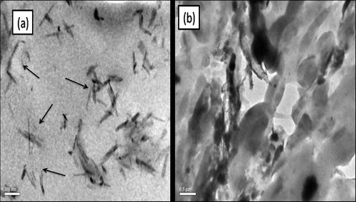 Figure 9. Transmission electron micrographs of rPP/C15a nanocomposites at (a) 100 nm and (b) 0.5 µm magnifications.