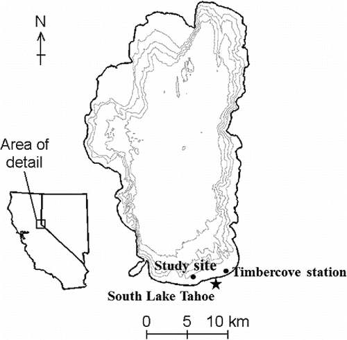 Figure 1. Lake Tahoe (∼39°N, 120°W) bathymetry and orientation. Meteorological data were collected at Timbercove station, and lake measurements were collected at the study site. Contours are shown at 100 m intervals.