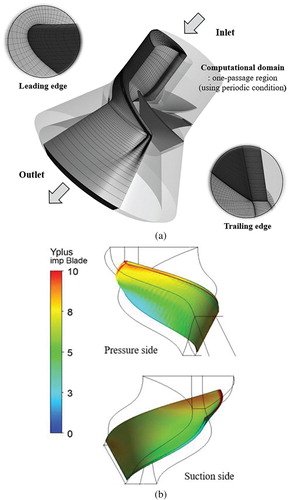 Figure 5. Computational domain and distribution of the y+ value, (a) Computational domain, (b) Distribution of the y+value on the blade surface.