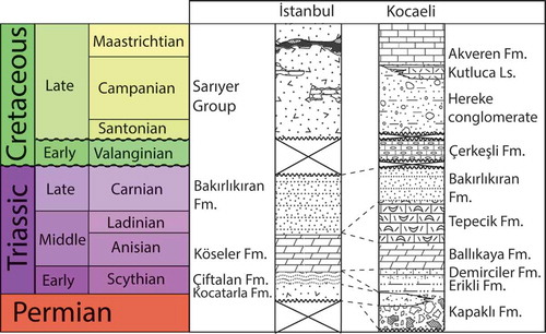 Figure 2. Generalized strtatigraphic section of Triassic units of the İstanbul Zone. (Lom et al., Citation2016).
