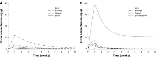 Figure 7 Comparison of the silver biodistribution with the human PBPK models.Notes: It was assumed that 15 μg silver are released directly to the blood stream during 1-week (eg, from catheter). (A) Release of ionic silver. (B) Release of silver nanoparticles.Abbreviation: PBPK, physiologically based pharmacokinetic.