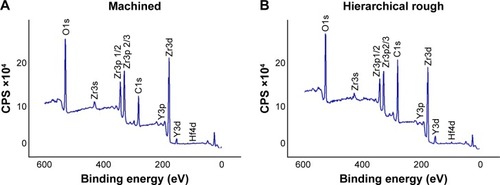 Figure 4 Chemical analysis of (A) machined zirconia and (B) hierarchical rough zirconia surfaces using x-ray photoelectron spectroscopy (XPS).Abbreviation: CPS, counts per second.