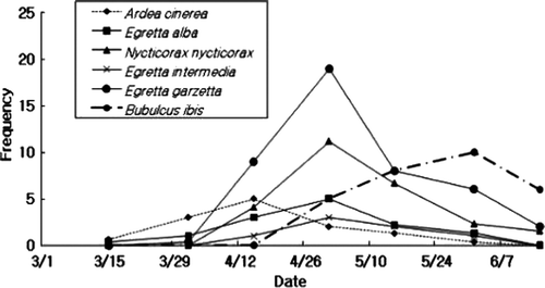 Figure 2.  Frequency of arrival of herons in the breeding area per two weeks at Taeseong, Chungbuk, Korea.