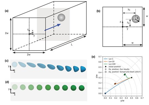 Figure 14. Example case 2: migration of a single soft particle in a square duct. (a) 3D schematic. (b) 2D cross-sectional schematic. Migration path of a particle with (c) La=1 and (d) La=100; multiple time instances are overlaid with higher saturation indicating later time. Note that the axial direction is not to scale. (e) Lateral migration paths for different Laplace numbers starting at the same initial position. Resulting equilibrium positions are compared to results obtained by Schaaf and Stark [Citation116].