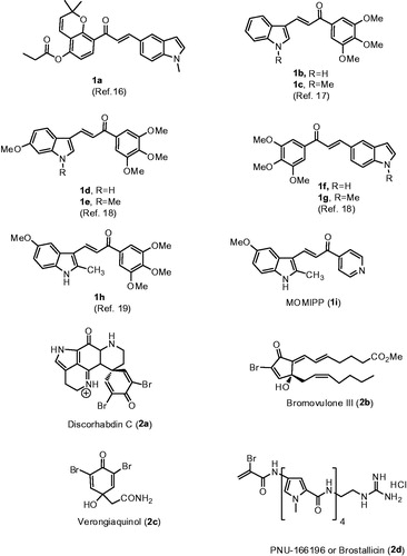 Figure 1. Structure of indole-based chalcone derivatives 1a–h, indolyl–pyridinyl–propenone 1i and cytotoxic products characterized by the presence of a α-bromoacryloyl alkylating moiety (2a–d).