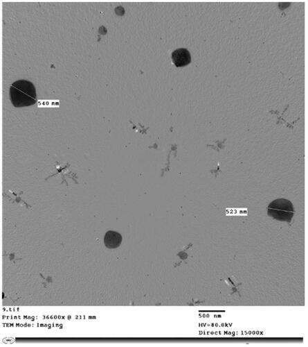 Figure 3. Transmission electron microscopic image of FLB-NC6.