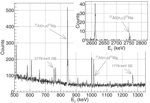 Figure 4. The gamma rays produced by the PUNITA deuterium-tritium neutrons from  28Al,  27Mg, and  28Na from the (n,γ), (n,p), and (n,α) reaction modes on the  27Al in the dummy sample.