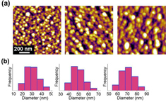 Figure 3. (a) AFM topographic images of photochemically deposited AgNPs at the average diameter of 30, 50 and 70 nm, generated with different illumination time of 15, 20 and 25 min, respectively. (b) Size distribution of the AgNPs on LiNbO3, corresponding with the above AFM topographic images. The scale bar in (a) applies to all three images.