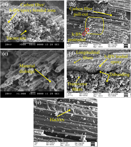 Figure 10. (a-e) Scanning electron micrographs of tensile tested 8BN-CFEC.
