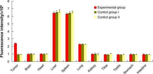 Figure 5 Fluorescence intensity in homogenates of tumors and organs 12 hours after injection with equivalent doses of QD800-RGD or QD800.