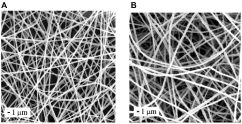 Figure 9 SEM images of (A) a typical fibrous mat of the PLA fibers and (B) PANI/PLA coaxial fibers. Reprinted with permission from Dong H, Prasad S, Nyame V, Jones WE. Sub-micrometer conducting polyaniline tubes prepared from polymer fiber templates. Chem Mater. 2004;16(3):371–373.Citation115 ©Copyright (2020) American Chemical Society.