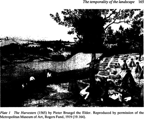 Fig. 2. Reproduction of Pieter Bruegel the Elder’s The Harvesters (1565), from Ingold (Citation1993).