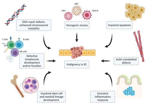 Figure 1. Inadequate functioning of the immune mechanisms prevents effective immunosurveillance facilitating malignancy development in IEI. Created with BioRender.com
