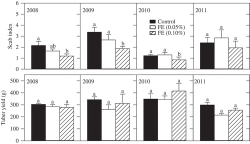 Fig. 1. Effect of serial applications of economically feasible rates of fish emulsion (FE) as a pre-plant soil amendment on scab severity and tuber yield in micro-plots. Tubers were harvested in the autumn of each year and rated for scab severity using a scale of 0–6 based on the percentage of tuber surface covered with scab lesions where 0 = 0%, 1 = trace to 5%, 2 = 6–15%, 3 = 16–25%, 4 = 26–35%, 5 = 36–60%, and 6 = 61–100%. Error bars represent standard error of the mean (n = 6). Treatments within a year with the same letter are not significantly different (P < 0.05).