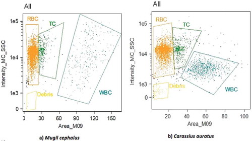 Figure 1. Flow cytometry performed on blood samples of (a) the grey mullet Mugil cephalus and (b) the goldfish Carassius auratus. The score plots show a clear grouping of red blood cells (RBC; in orange), white blood cells (WBC; in blue), thrombocytes (TC; in green) and debris (in yellow).