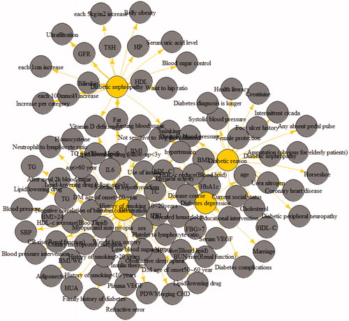 Figure 2. Knowledge graph for DM complication. (Gray nodes: life style risk factors; yellow nodes: DM complications.)