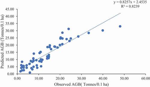 Figure 4. Relationship between Predicted AGB and Observed AGB.