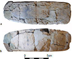 Fig. 3: The Beth-Shemesh tablet; a) obverse; b) reverse (photos by Y. Goren)