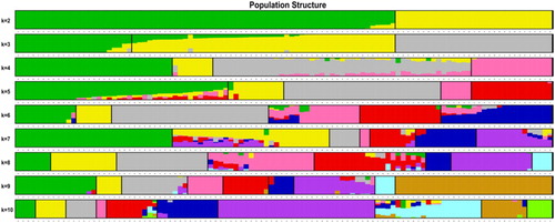 Figure 1. Admixture the individual cluster values corresponding to each K value. The x-axis showed different samples. The y-axis quantified the membership probability of samples belonging to different groups. Colors in each row represented structural components.