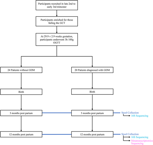 Figure 1. Overview of clinical study design. Patient info was collected at birth, 3 months of infant age, and 12 months of infant age. 16S sequencing was performed on 42 stool samples collected at 3 months and 44 stool samples collected at 12 months. Metatranscriptomics sequencing was performed on 30 of the stool samples collected at 12 months. 28 samples were included for 16S analysis at 3 months. 30 samples were included for 16S and metatranscriptomics analysis at 12 months. See Table 1 for demographic information.