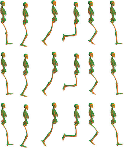 Figure 11. Time-synchronised visualisation of cluster average stride kinematics (C0 = neutral pelvis, in orange; C1 = tilted pelvis, in green) using a modified version of the 3DGaitModel2392 model (Delp et al., Citation2007) with just the right leg (only right leg data were considered in this study). The cluster average of each kinematic variable was prescribed to the model locking every other degree of freedom at 11 km/h (top), 12 km/h (middle) and 13 km/h (bottom). The segments of the model have been scaled to the average cluster segment length. The selected frames include foot-strike, mid-stance, toe-off, leg recovery, mid swing and foot strike.