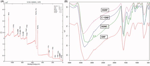 Figure 3. (A) XPS analysis of CGNP and (B) FTIR spectra of GNP, CGNP, HGNP and DGNP.