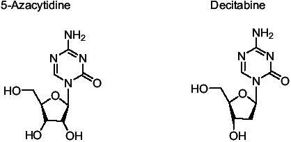 Figure 1 The ring structure of 5 Azacytidine and 5 Aza-2-deoxycytidine showing substitution of N at position 5. Azacytidine is attached to a ribose sugar whereas 5 Aza-2-deoxycytidine is attached to a deoxyribose.