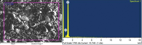 Figure 7. SEM and EDS of the extracted particle.