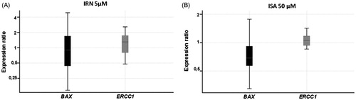 Figure 3. Relative expression of BAX and ERCC1 genes after exposure of HeLa cells to (A) 5 µM of indirubin for 24 h and (B) to 50 µM of isatin for 24 h. Data represent mean values ± SD.