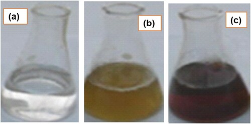 Figure 1. Change in color for leaf extract containing silver before and after the preparation of AgNPs.